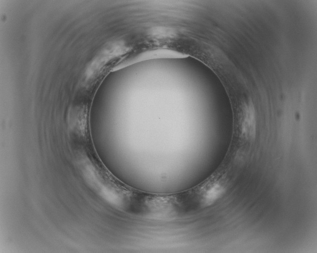 X0000052980129200507221337