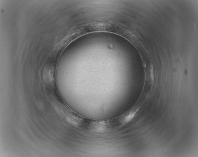 X0000052980131200507221337