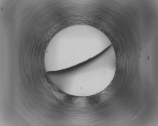 X0000052980132200507221337