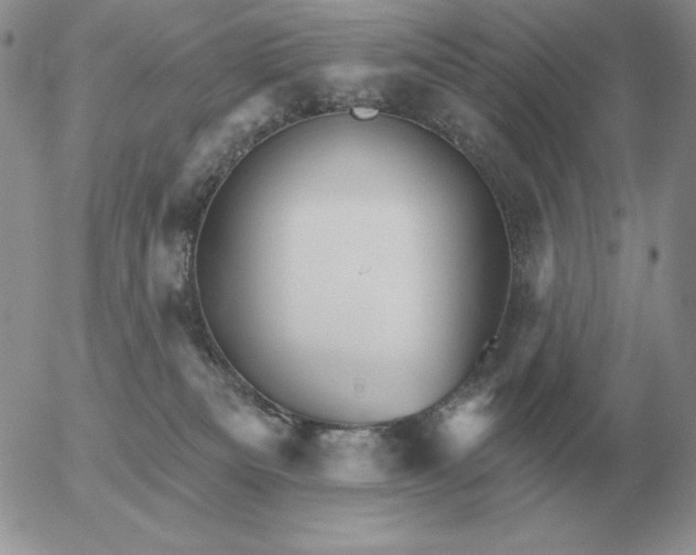 X0000052980133200507221337