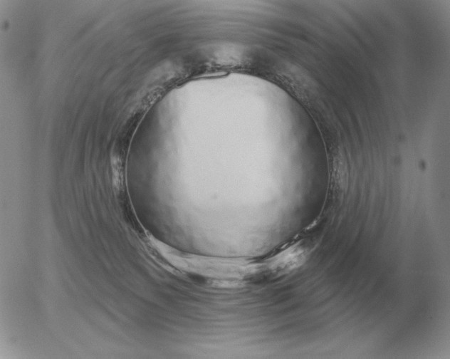 X0000052980135200507221337