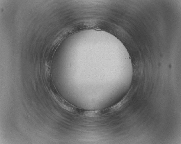 X0000052980136200507221337