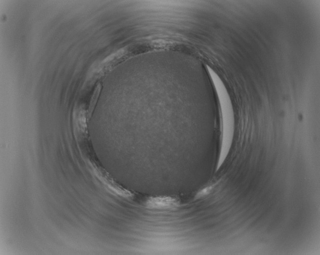 X0000052980137200507221337