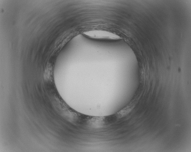 X0000052980138200507221337