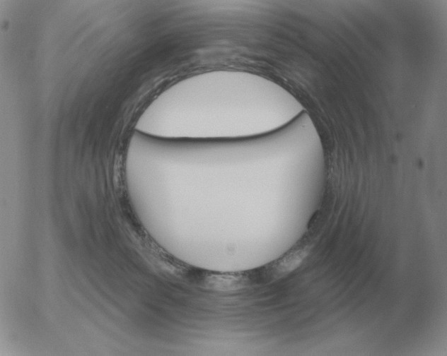 X0000052980139200507221337