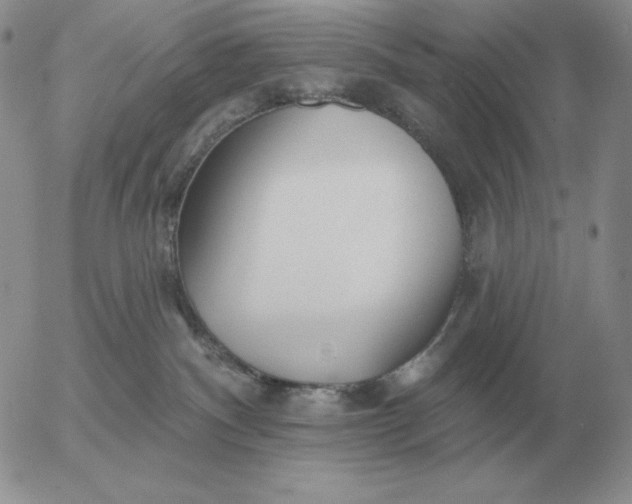 X0000052980140200507221337