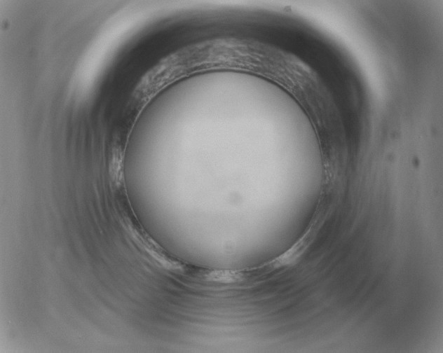 X0000052980142200507221337