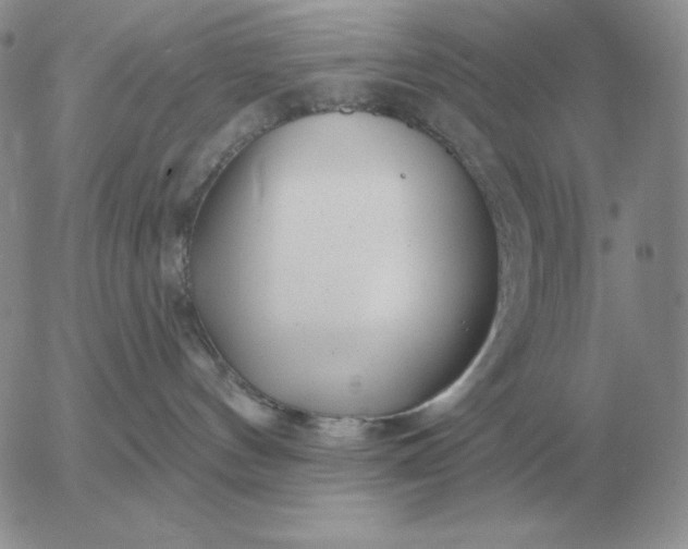 X0000052980144200507221337