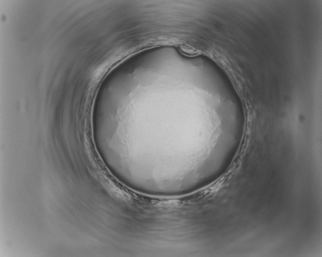 X0000052980145200507221336