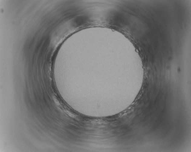 X0000052980146200507221336