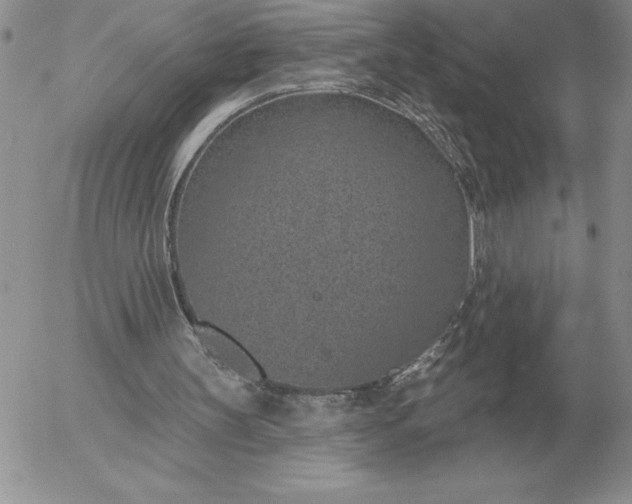 X0000052980147200507221336