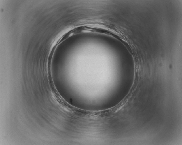 X0000052980148200507221336