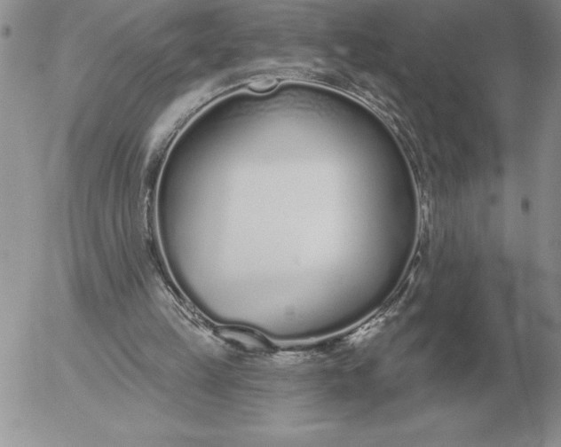 X0000052980149200507221336