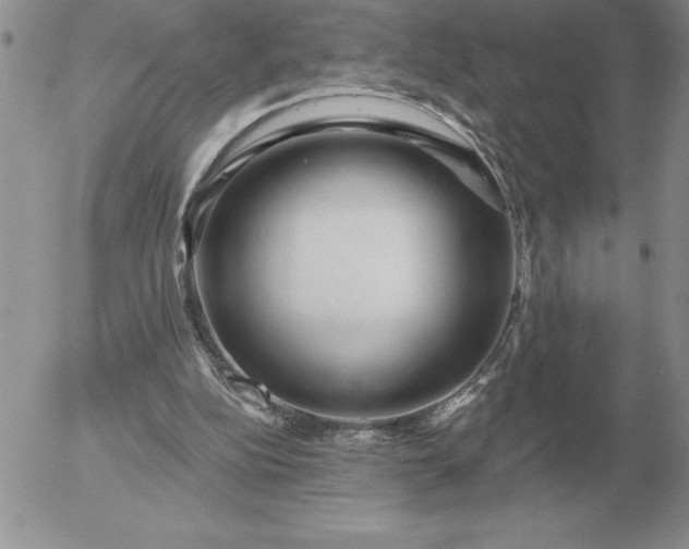 X0000052980152200507221336