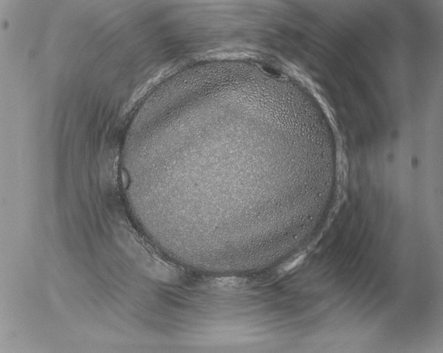 X0000052980153200507221336