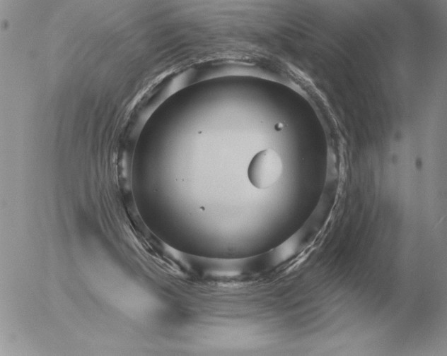 X0000052980154200507221336