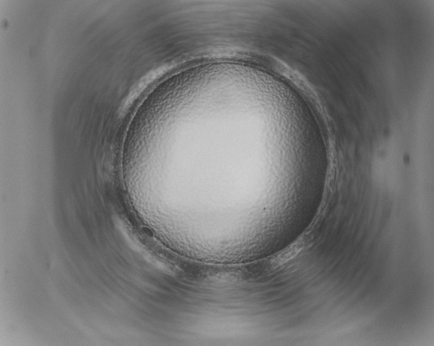 X0000052980155200507221336