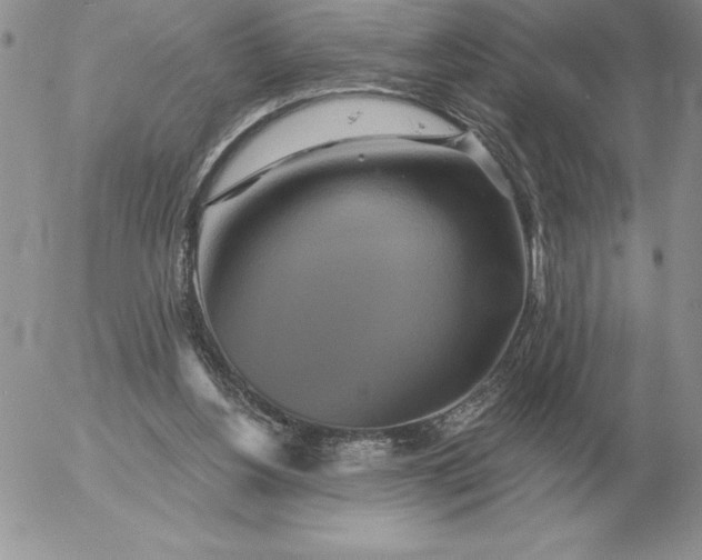 X0000052980156200507221336