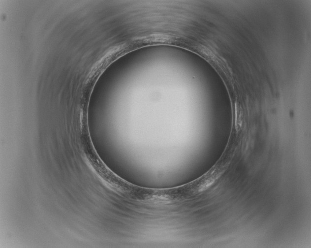 X0000052980157200507221336