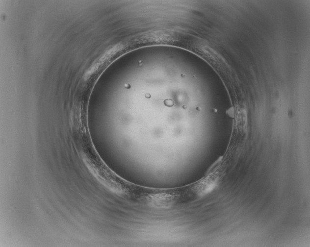 X0000052980158200507221336