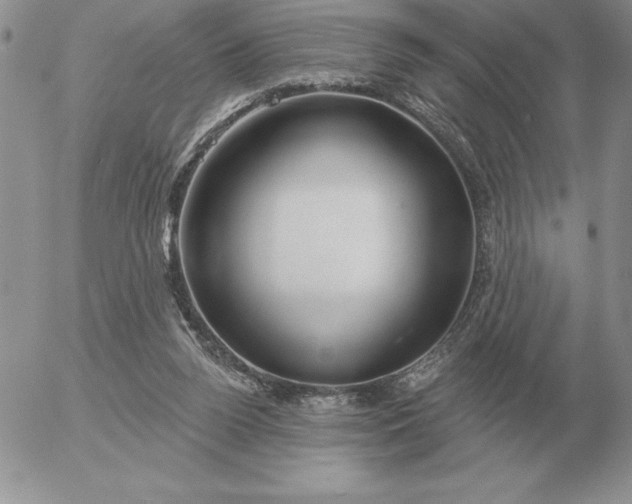 X0000052980160200507221336