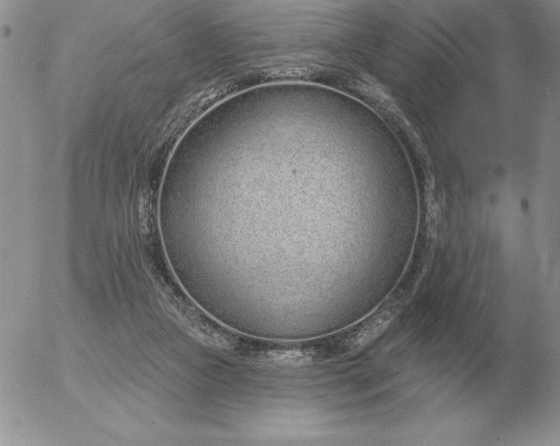 X0000052980161200507221336