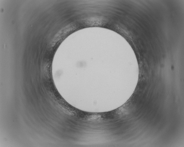 X0000052980162200507221336