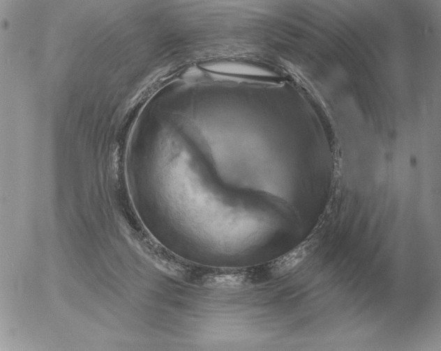 X0000052980163200507221336