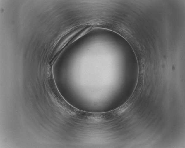 X0000052980164200507221336