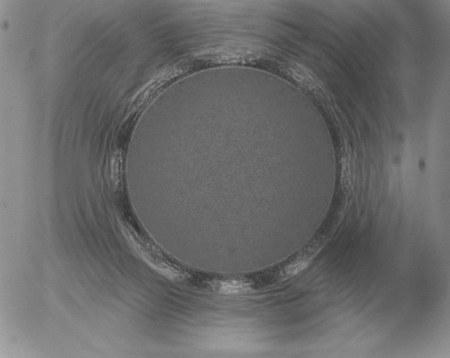 X0000052980165200507221336