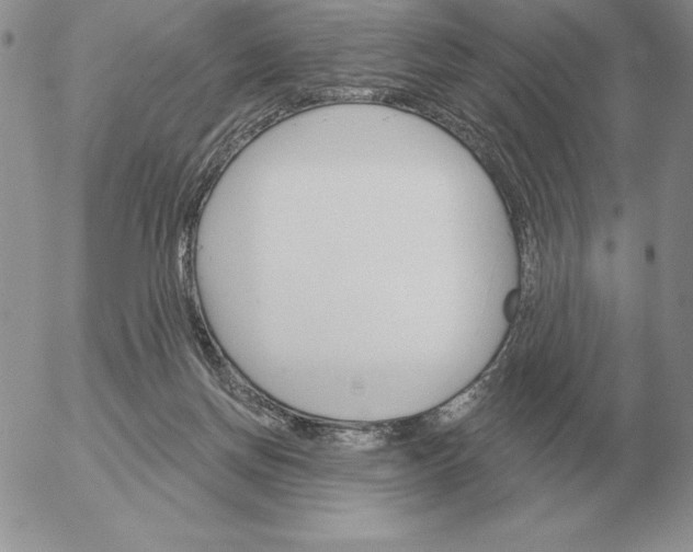 X0000052980166200507221336