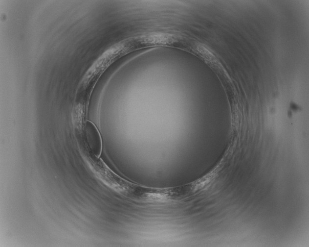 X0000052980167200507221336