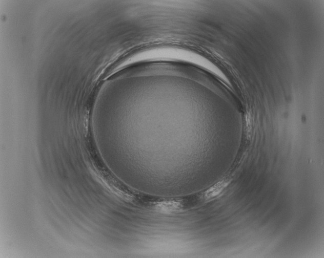 X0000052980168200507221336