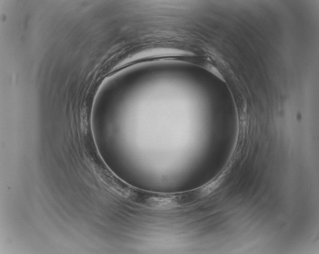 X0000052980170200507221336