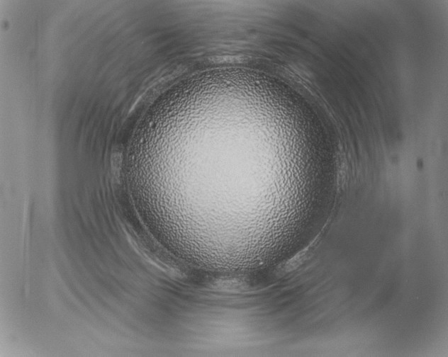 X0000052980171200507221336