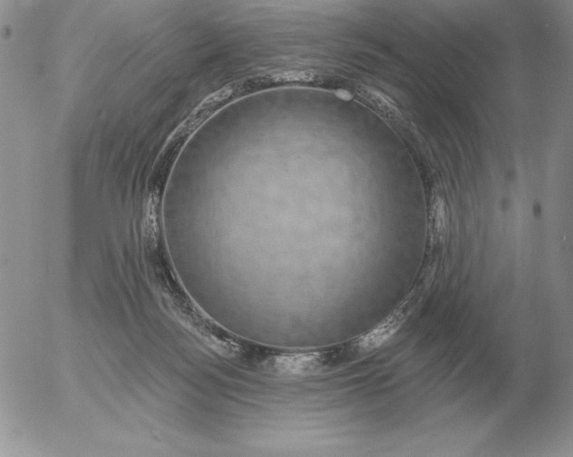 X0000052980172200507221336