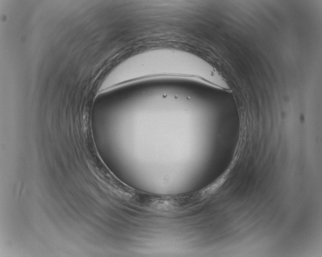 X0000052980174200507221337