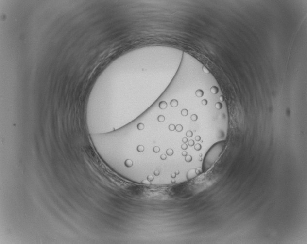 X0000052980175200507221337