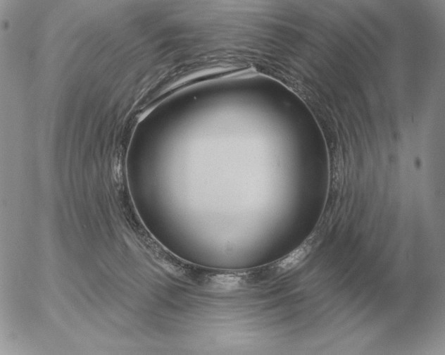 X0000052980176200507221337