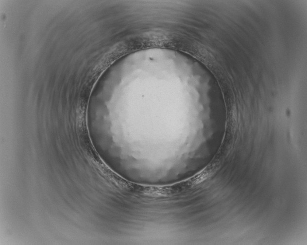 X0000052980177200507221337