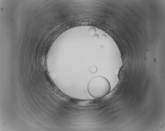 X0000052980178200507221337