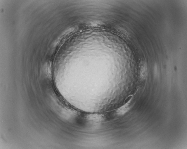 X0000052980179200507221337