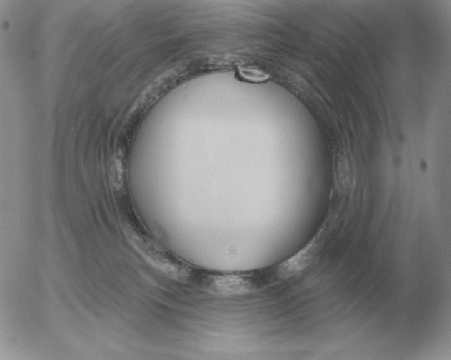 X0000052980183200507221337