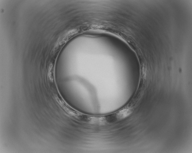 X0000052980185200507221337