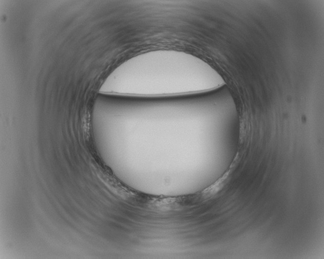 X0000052980186200507221337