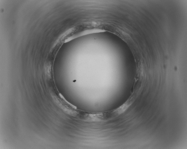 X0000052980188200507221337