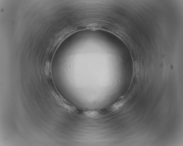 X0000052980189200507221337