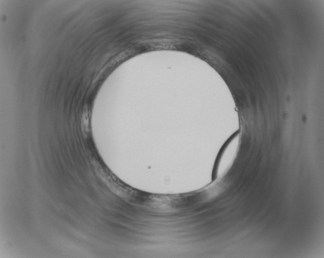 X0000052980190200507221337