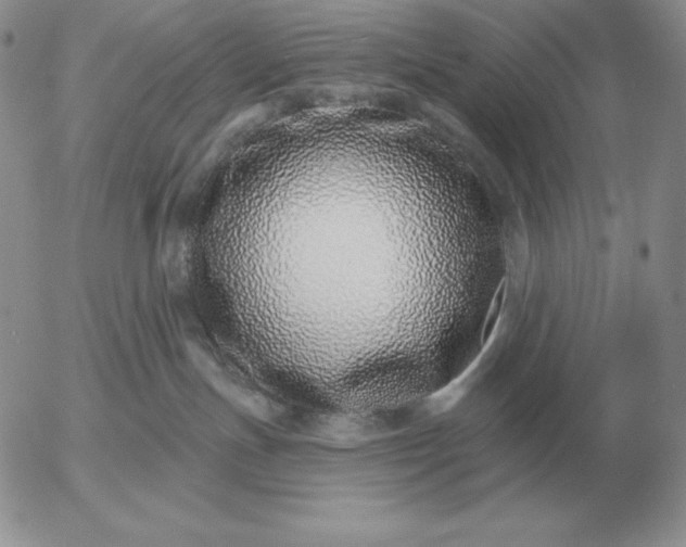 X0000052980191200507221337