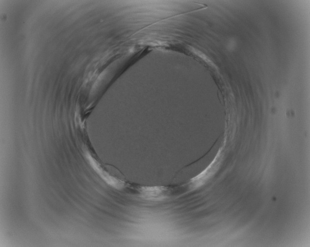 X0000052980192200507221337